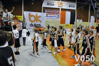V050.JPG