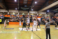 18-02-13_MKIV7761.JPG