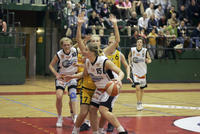_N4V3530.JPG