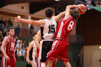 IMG_9733.jpg